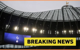 Tottenham Bidik Penyerang Sporting CP Geny Catamo
