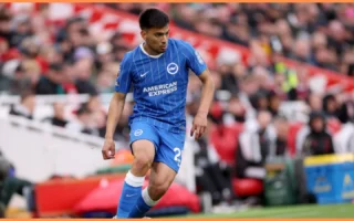 Bintang Baru Liga Primer: Dari Tarkowski hingga Diego Gomez