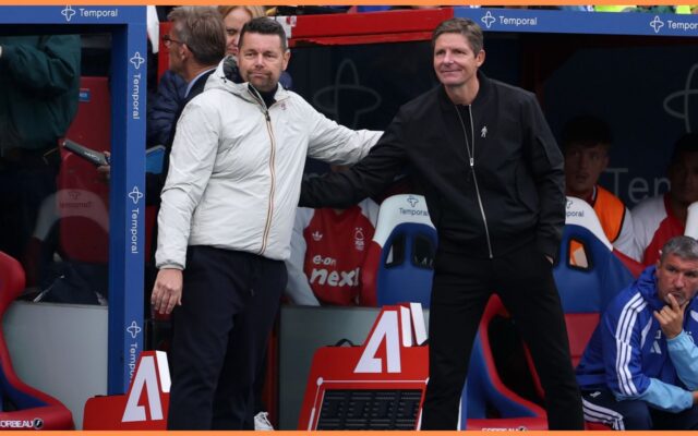 Eks Bintang Tottenham Masuk Daftar Incaran Crystal Palace